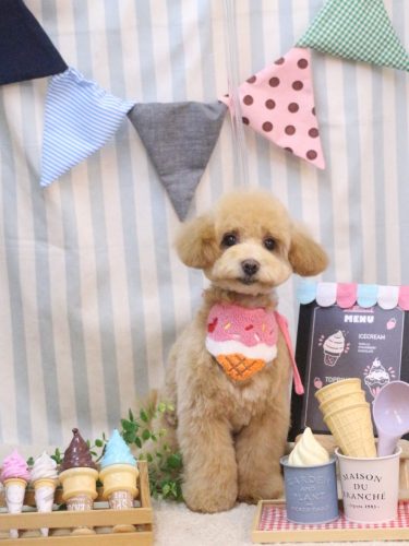 20250517アミーちゃん